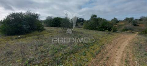 Terreno rústico com 25.560 m2, conselho de santarém.