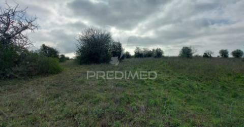 Terreno rústico com 25.560 m2, conselho de santarém.