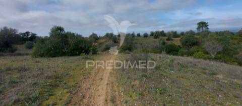 Terreno rústico com 25.560 m2, conselho de santarém.