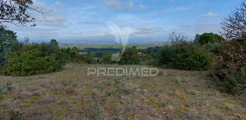 Terreno rústico com 25.560 m2, conselho de santarém.