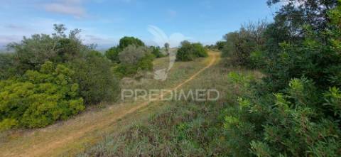 Terreno rústico com 25.560 m2, conselho de santarém.
