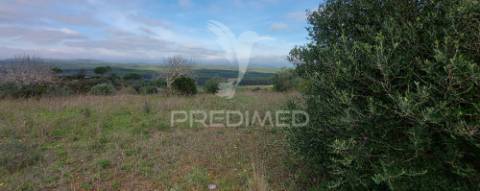 Terreno rústico com 25.560 m2, conselho de santarém.