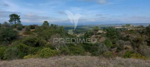 Terreno rústico com 25.560 m2, conselho de santarém.