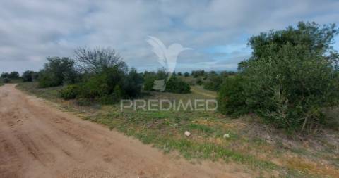 Terreno rústico com 25.560 m2, conselho de santarém.