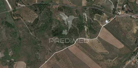 Terreno rústico com 25.560 m2, conselho de santarém.