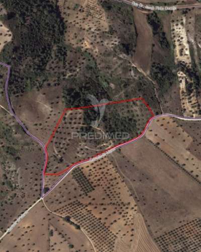 Terreno rústico com 25.560 m2, conselho de santarém.