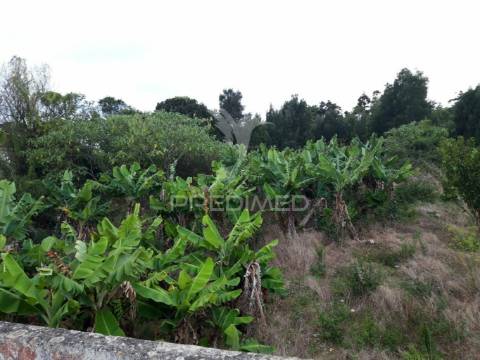 Edifício com 4 apartamentos (2 - t2 e 2 -t1) mais terreno rústico