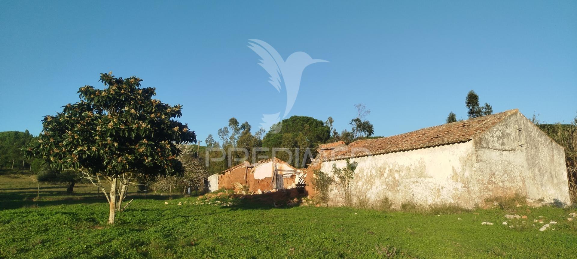 Monte alentejano perto de sines