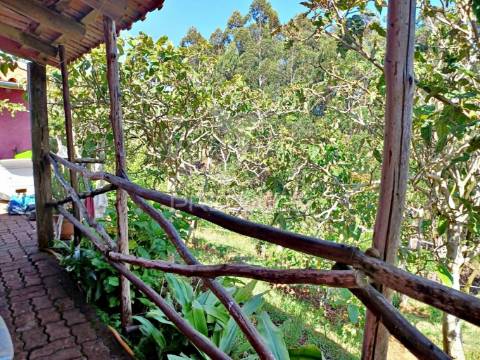 Terreno agrícola e arrecadação