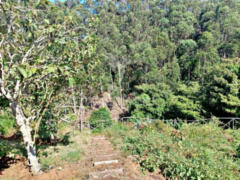 Terreno agrícola e arrecadação