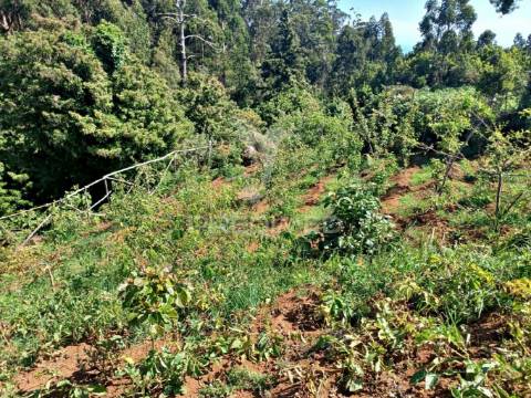Terreno agrícola e arrecadação
