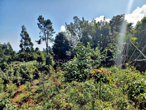 Terreno agrícola e arrecadação