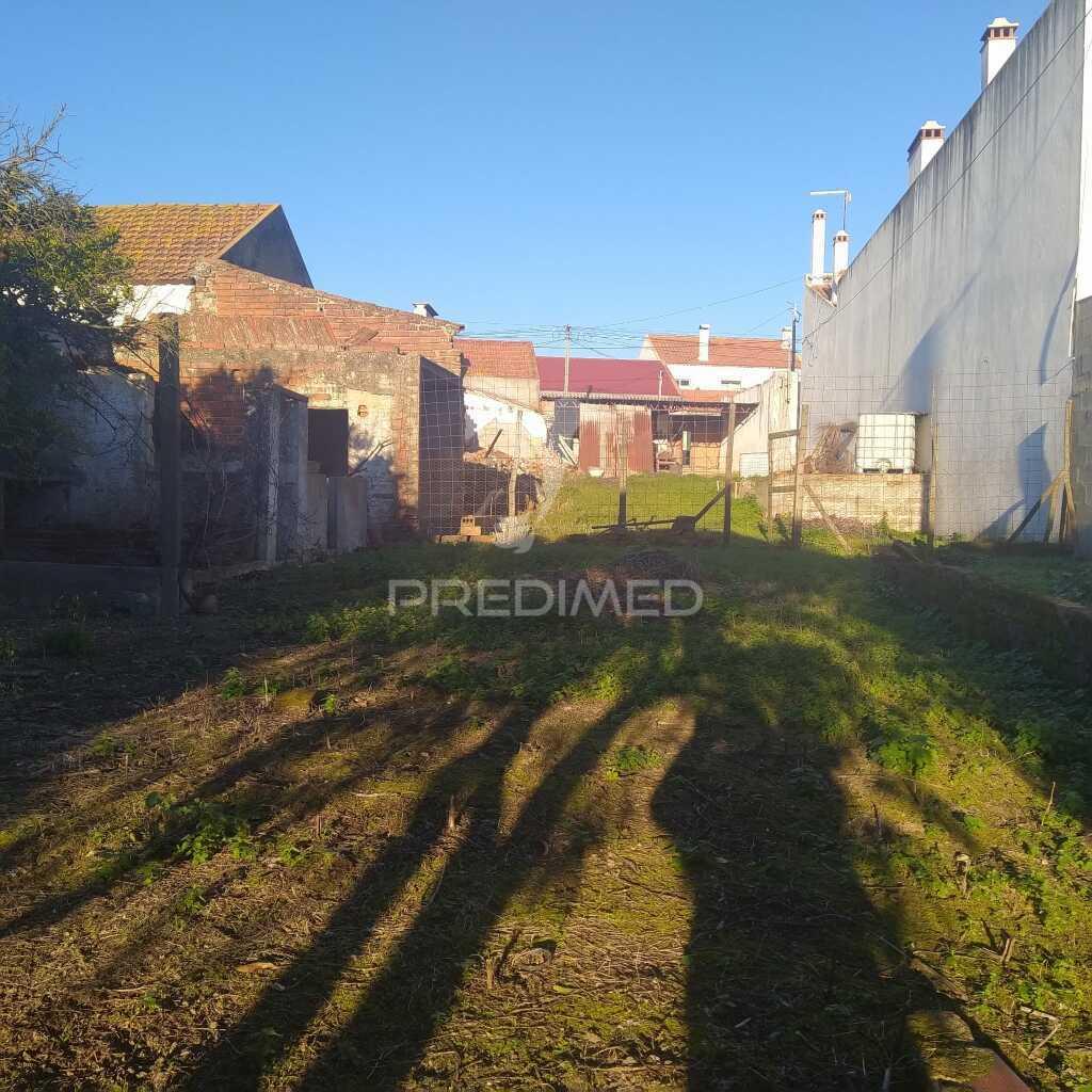 Terreno urbano alpiarça