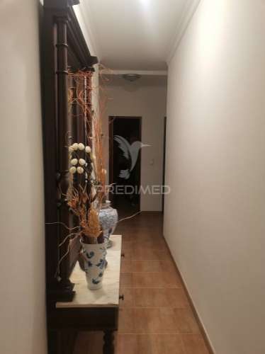 Quinta t5 com pomar em beja