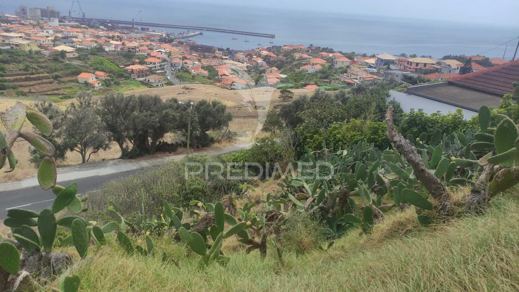 Terreno de três lotes para moradias unifamiliares, caniçal