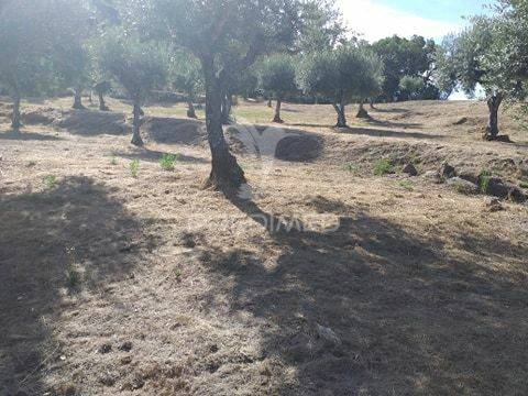 Terreno para construção