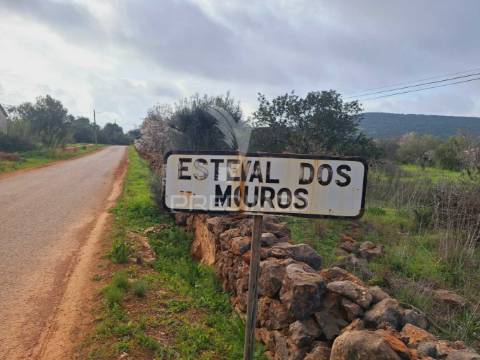 Ruína em esteval do mouros