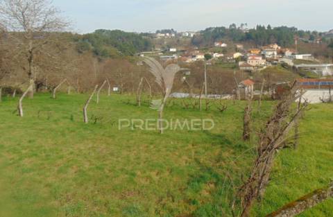 Casa em pedra para recuperar c/ terreno