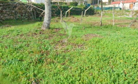 Casa em pedra para recuperar c/ terreno