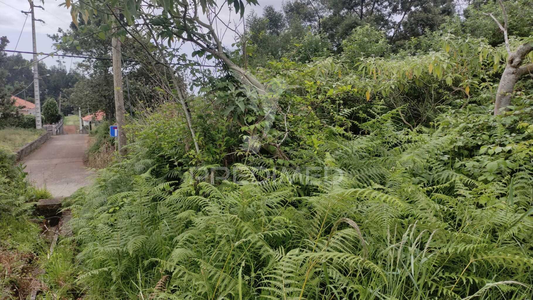 Terreno com 1080m2 situado em s.jorge,santana.