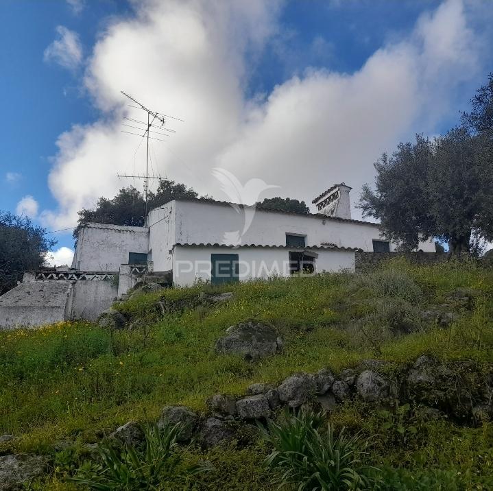 Quinta