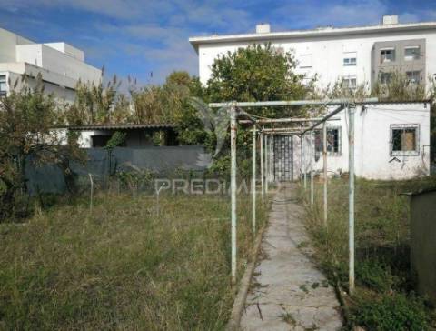 Lote/terreno para construção de prédio na ajuda