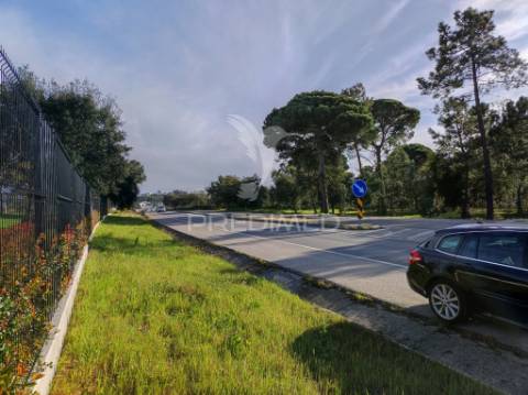 Terreno 14300 m2, afeto a comercio ( habitação ) e serviços