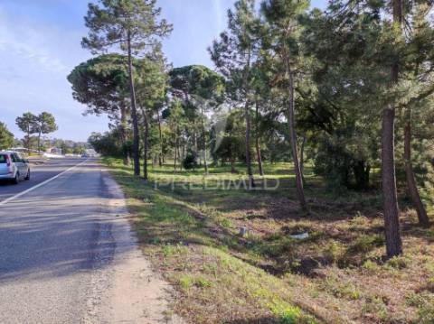 Terreno 14300 m2, afeto a comercio ( habitação ) e serviços