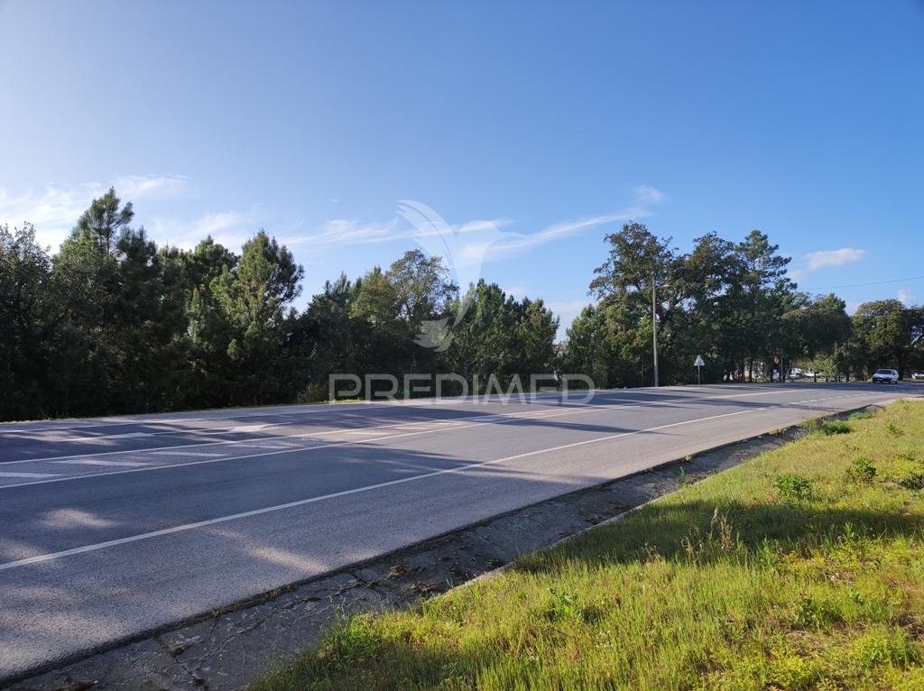 Terreno 14300 m2, afeto a comercio ( habitação ) e serviços