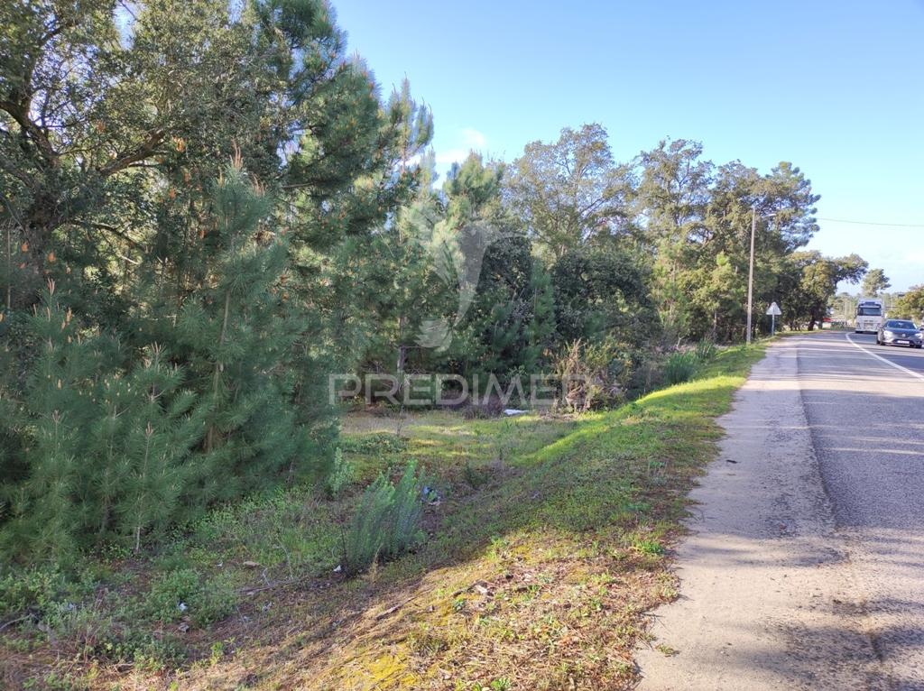 Terreno 14300 m2, afeto a comercio ( habitação ) e serviços
