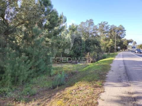 Terreno 14300 m2, afeto a comercio ( habitação ) e serviços