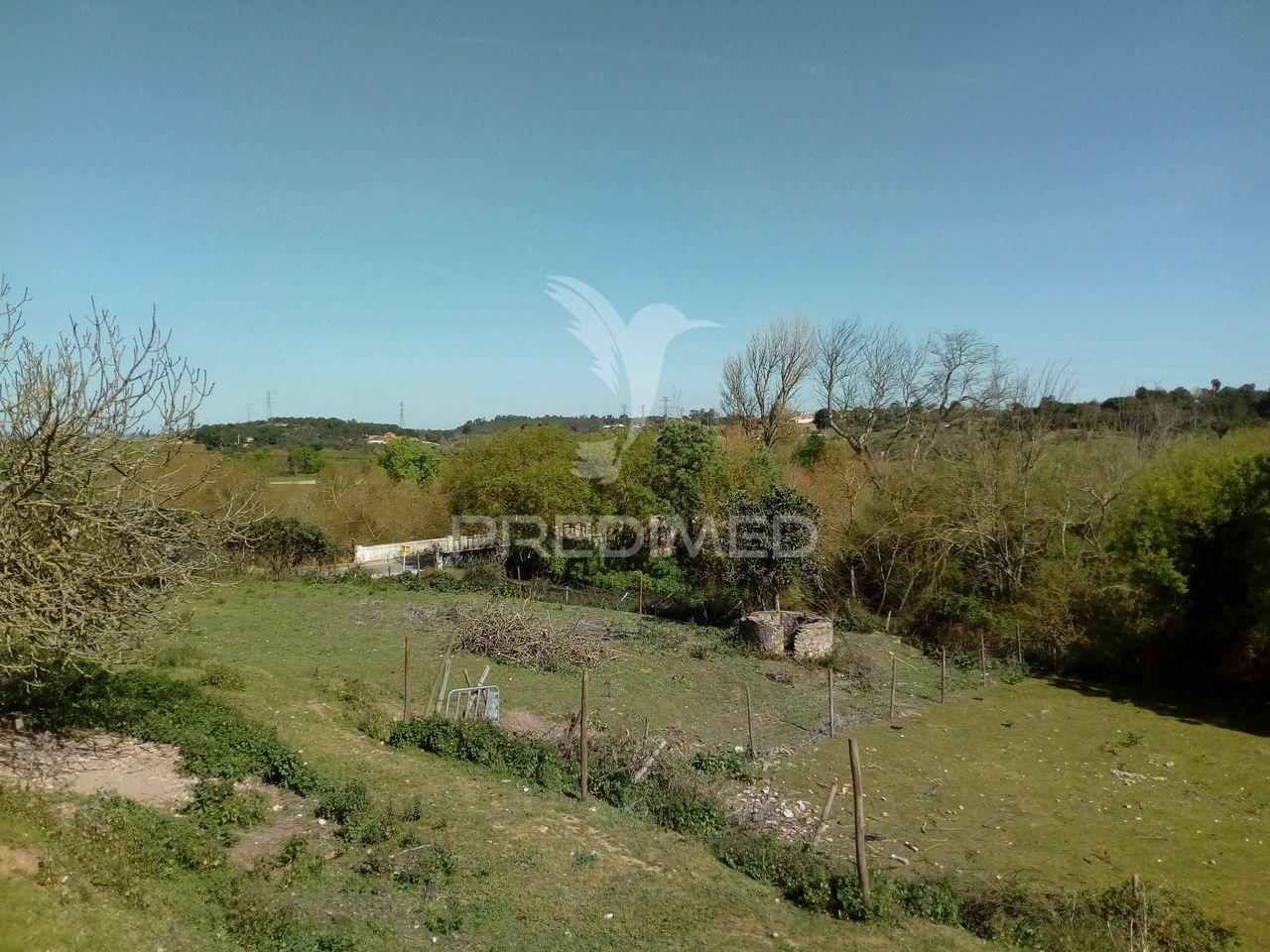 Quinta agrícola