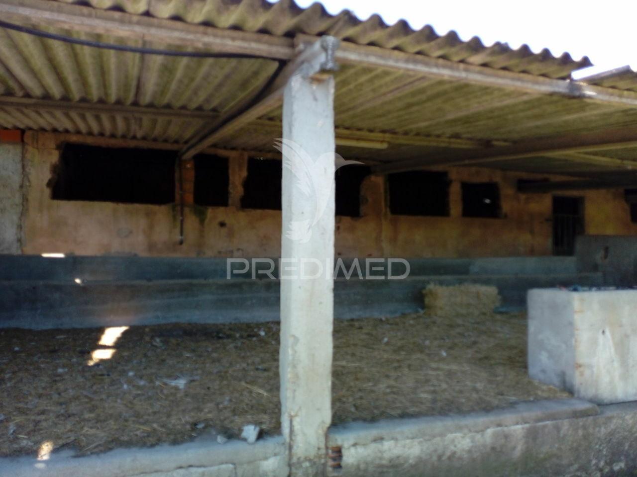 Quinta agrícola