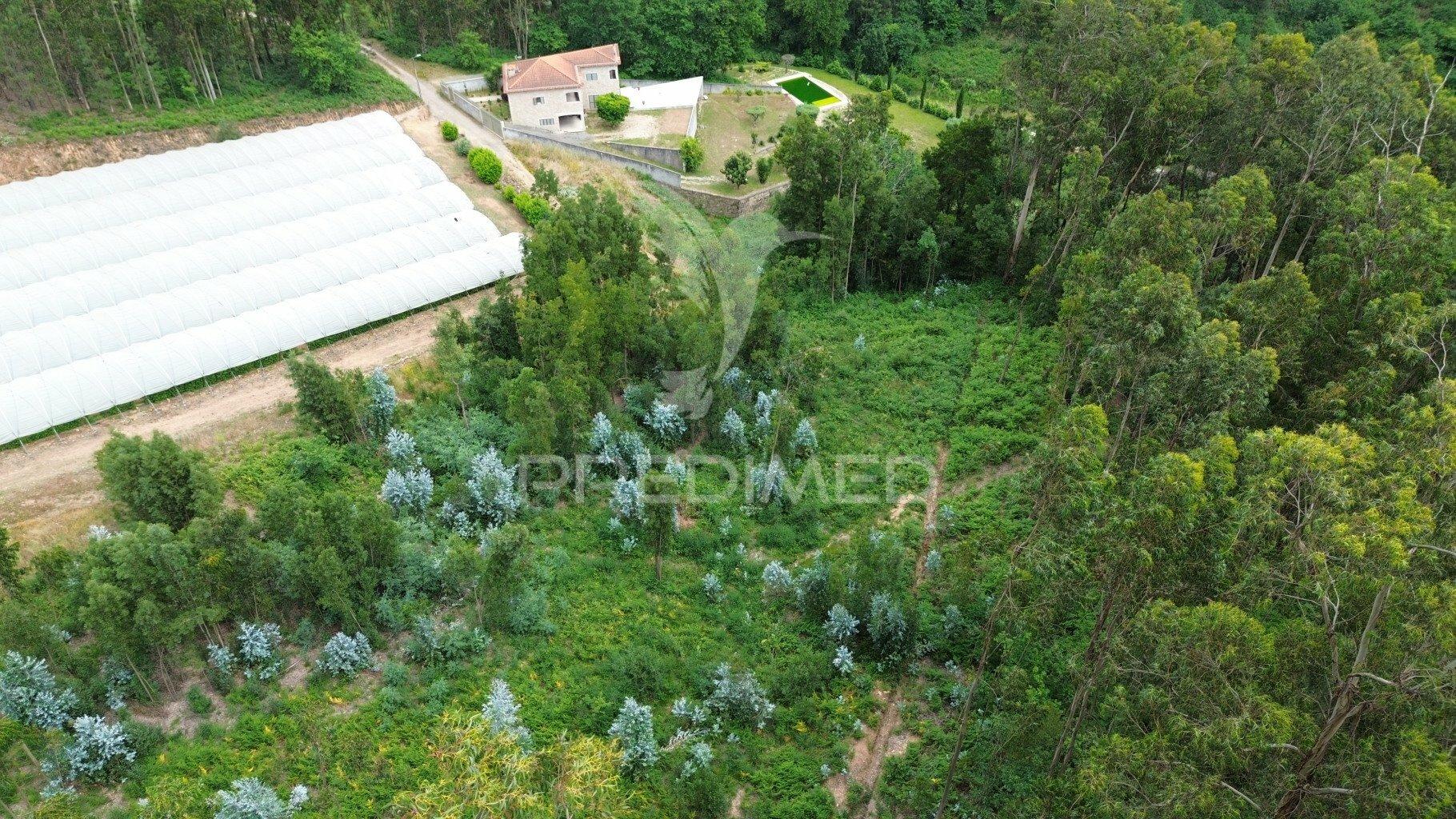 Terreno misto com 4150m2 em telões - amarante