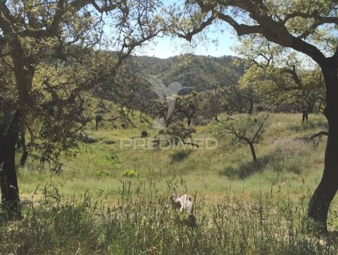 Terreno para eco resort parque natural
