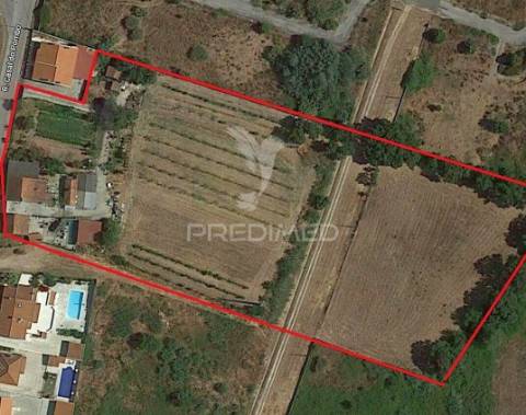 Quintinha em santarém