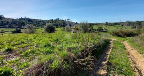 Terreno rústico, olival em arneiro das milhariças, santarém.