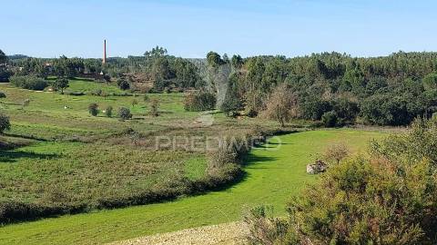 Terreno rústico, olival em arneiro das milhariças, santarém.