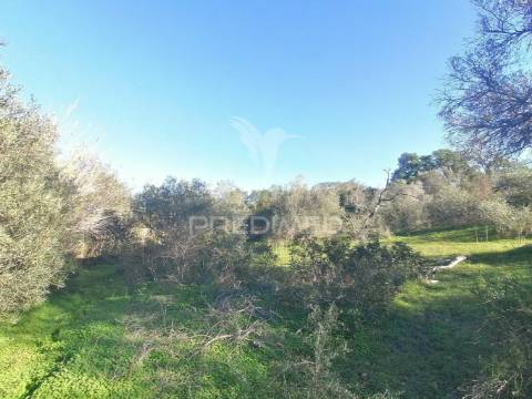 Terreno rústico em moncarapacho, olhão