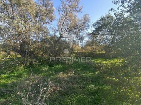 Terreno rústico em moncarapacho, olhão