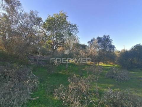 Terreno rústico em moncarapacho, olhão