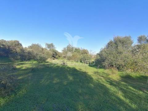 Terreno rústico em moncarapacho, olhão