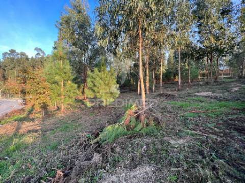 Terreno de construção - regadas fafe