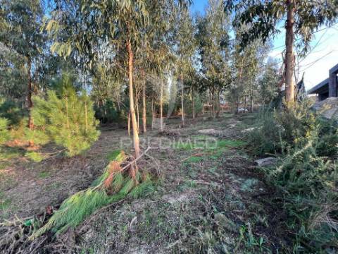 Terreno de construção - regadas fafe