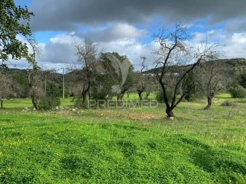 Terreno urbano com projeto aprovado