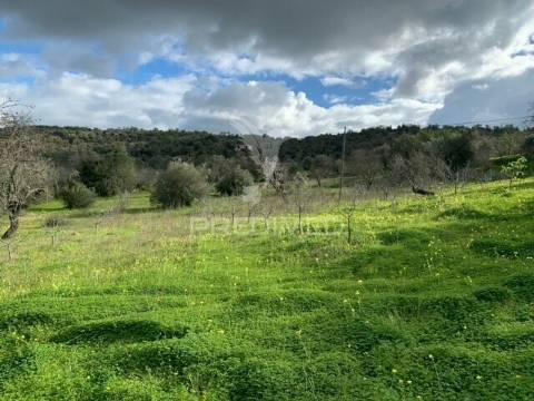 Terreno urbano com projeto aprovado