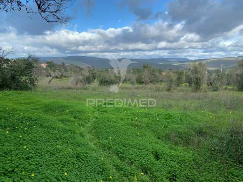 Terreno urbano com projeto aprovado