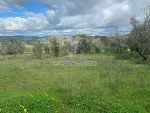 Terreno urbano com projeto aprovado