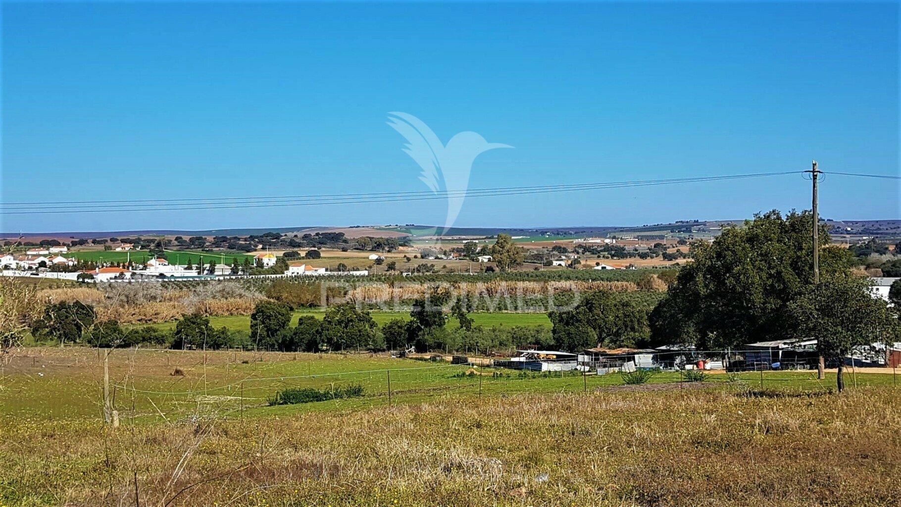 Monte para recuperar – nossa senhora das neves