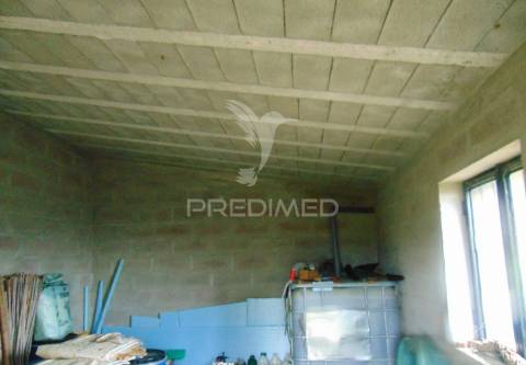 Olival em produção - abaças / vila real